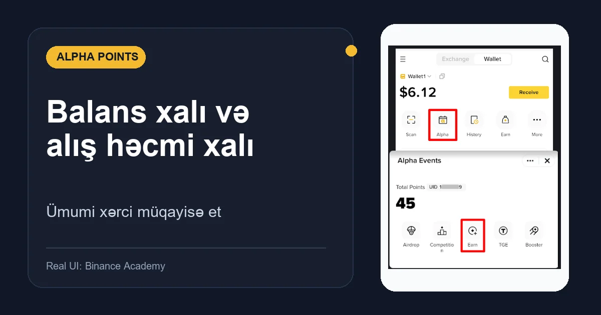 Alpha balans xalı və alış həcmi xalı: fərq, xərc və seçim üsulu